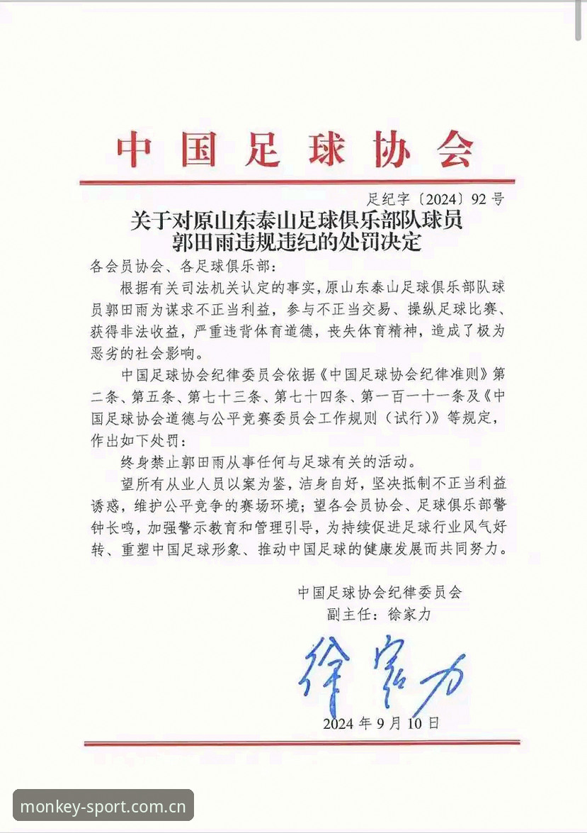 中国足球禁足名单详解：17人终身禁赛背后的行业整顿