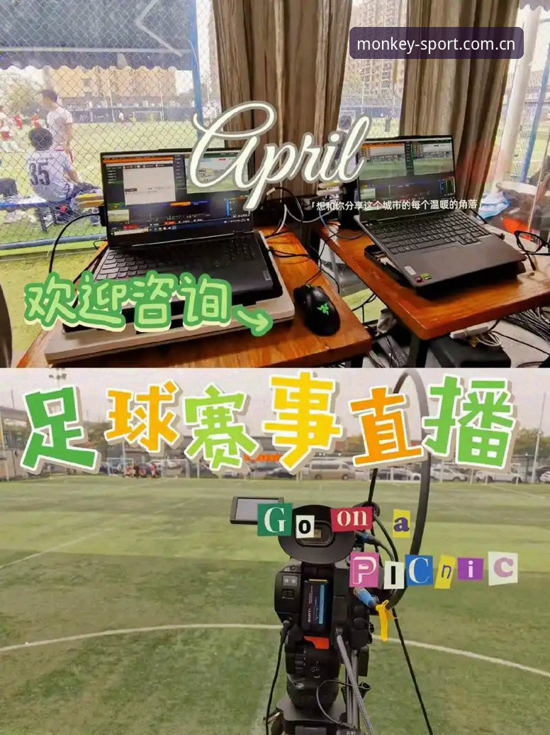 资深用户分享：悟空体育赛事直播的深度使用心得与实战经验